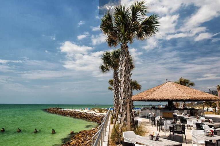 beach and palm trees